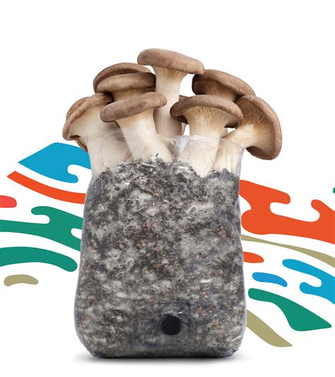 Mushroom magic bag